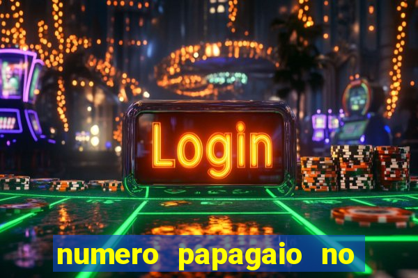 numero papagaio no jogo do bicho